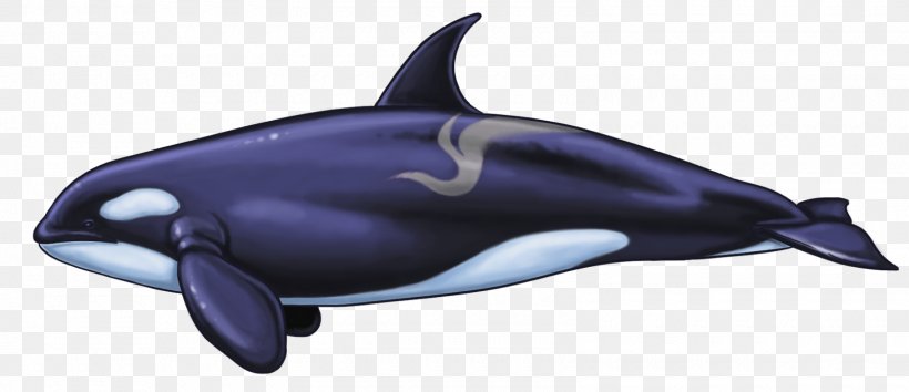 Common Bottlenose Dolphin Whale White-beaked Dolphin Short-beaked Common Dolphin Tucuxi, PNG, 1600x692px, Common Bottlenose Dolphin, Animal, Automotive Design, Bottlenose Dolphin, Cetacea Download Free