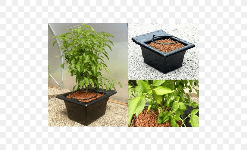 Flowerpot Garden Houseplant Cdiscount Crop, PNG, 500x500px, 2018, Flowerpot, Cdiscount, Crop, Garden Download Free