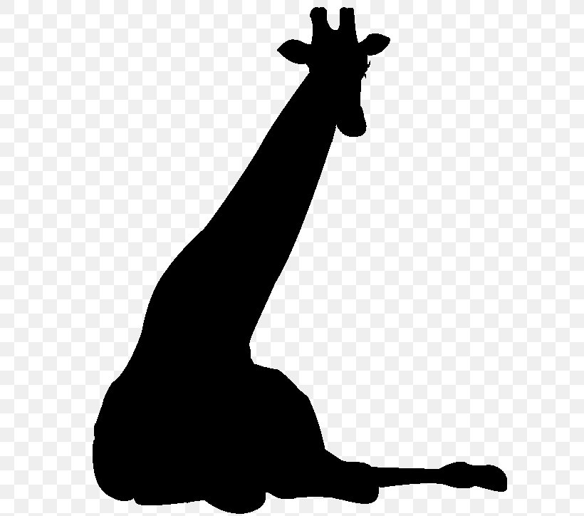 Giraffe Horse Mammal Clip Art Mane, PNG, 635x724px, Giraffe, Blackandwhite, Giraffidae, Horse, Mammal Download Free