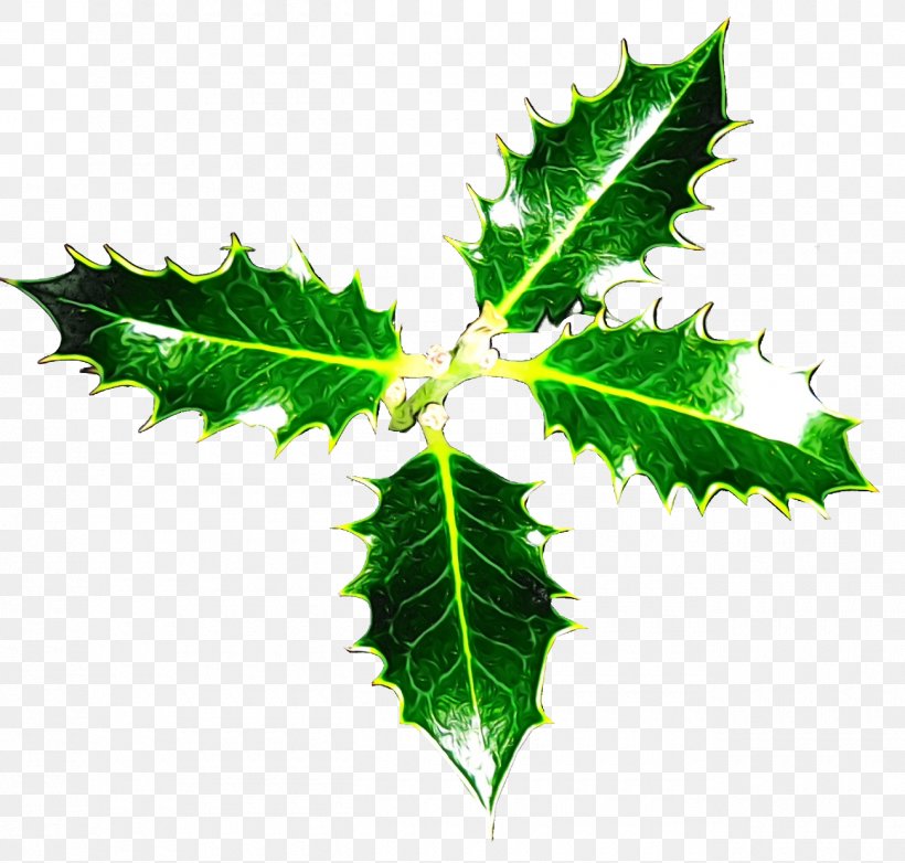 Holly, PNG, 1300x1240px, Christmas Holly, Christmas, Flower, Holly, Ilex Download Free