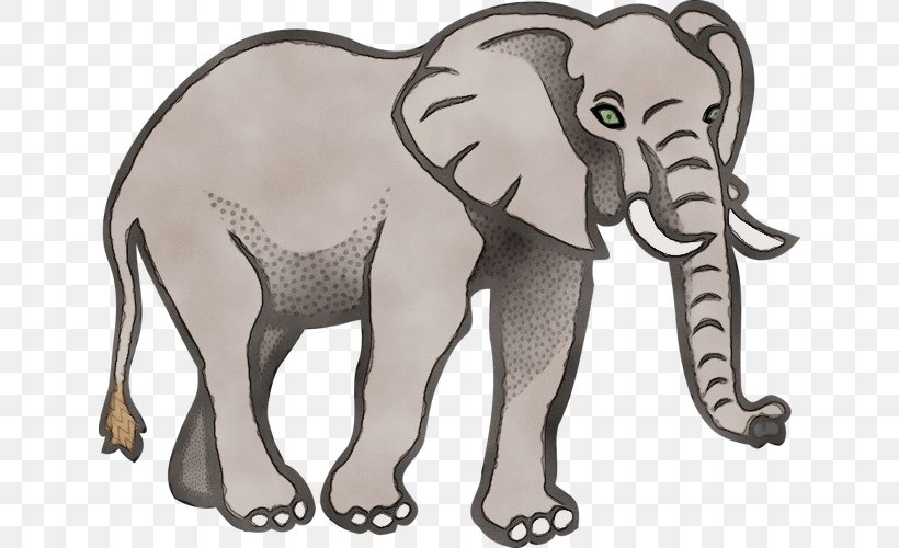 Indian Elephant, PNG, 640x500px, Watercolor, African Elephant, Animal Figure, Elephant, Elephants And Mammoths Download Free