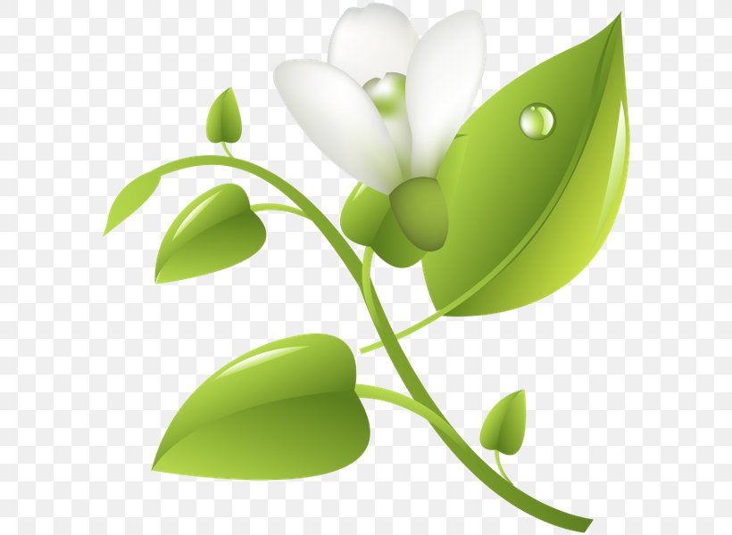 Leaf Desktop Wallpaper Plant Stem Graphics Product Design, PNG, 600x600px, Leaf, Branch, Computer, Flora, Flower Download Free
