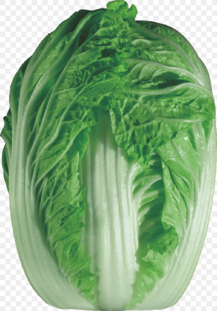 Napa Cabbage Chinese Cabbage Vegetable Bok Choy, PNG, 1034x1485px, Napa Cabbage, Bok Choy, Brassica Oleracea, Brassica Rapa, Cabbage Download Free