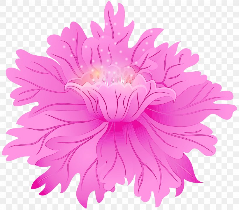 Pink Flower Petal China Aster Plant, PNG, 3000x2640px, Watercolor, Aster, China Aster, Cut Flowers, Flower Download Free