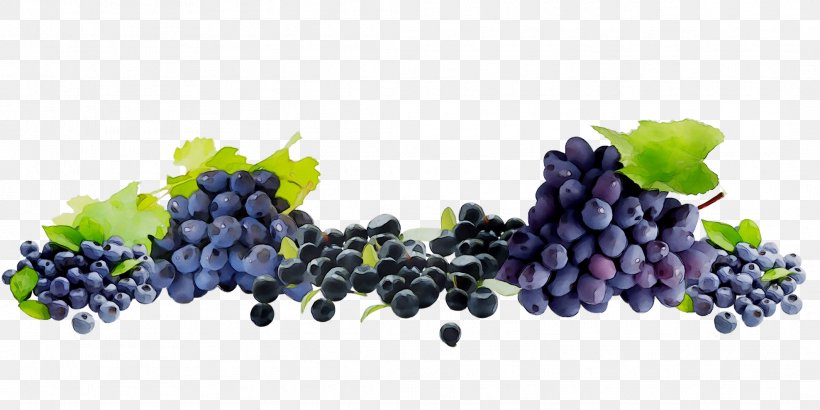 Sultana Grape Seedless Fruit Blueberry Bilberry, PNG, 2124x1062px, Sultana, Berry, Bilberry, Blackberry, Blueberry Download Free