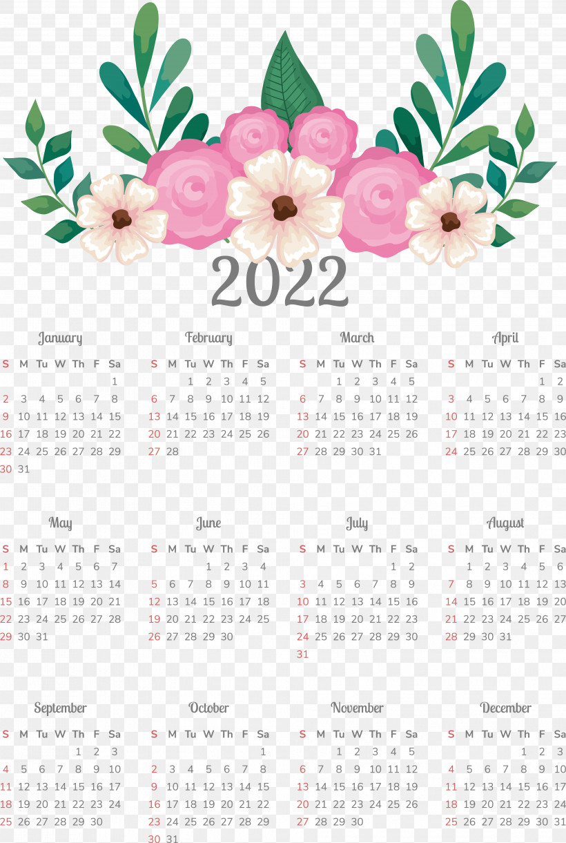 Flower Calendar 2011 Plant Science, PNG, 3768x5614px, Flower, Biology, Calendar, Plant, Science Download Free