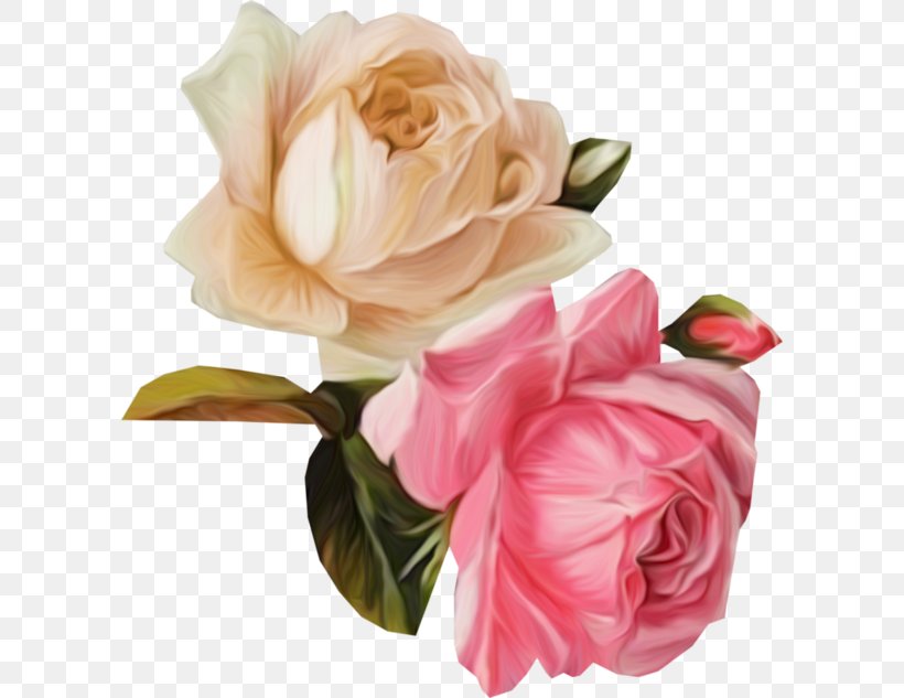 Garden Roses Cut Flowers Floral Design Cabbage Rose, PNG, 600x633px, Garden Roses, Artificial Flower, Blog, Cabbage Rose, Cut Flowers Download Free