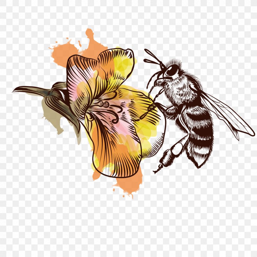 Honey Bee Illustration, PNG, 1200x1200px, Honey Bee, Art, Arthropod, Bee, Honey Download Free