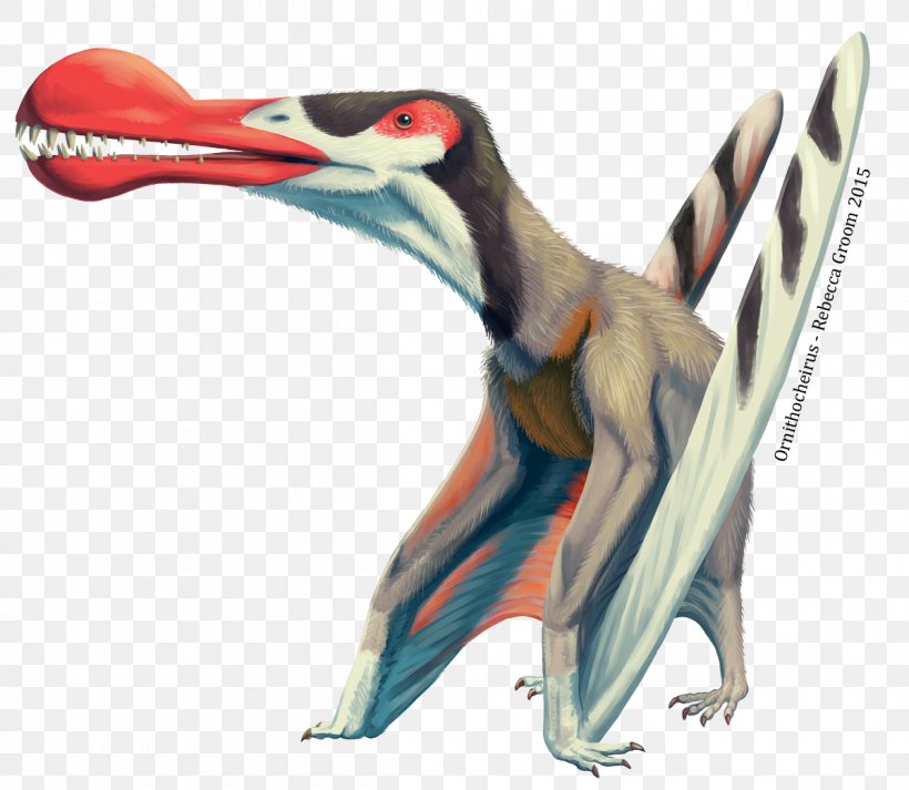 Ornithocheirus Pterosaurs Quetzalcoatlus Dinosaur Anhanguera, PNG, 1200x1044px, Ornithocheirus, Anhanguera, Animal Figure, Beak, Bird Download Free