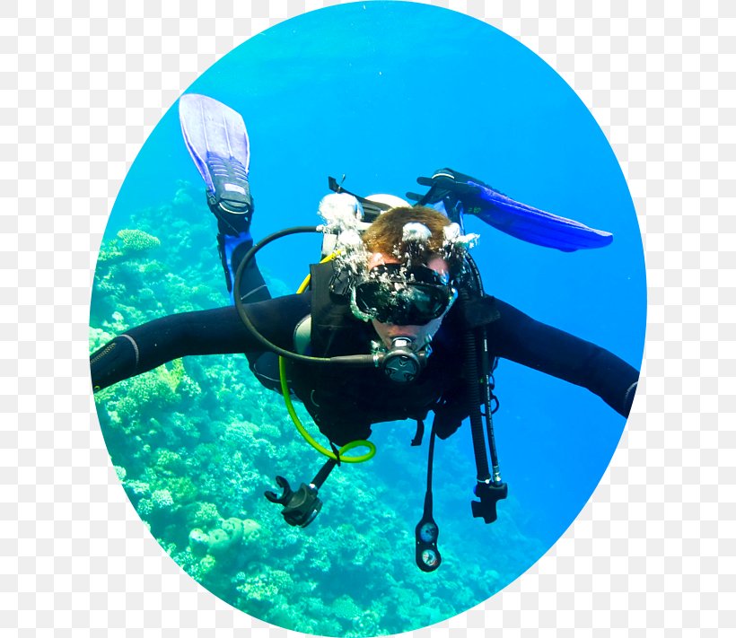 Scuba Diving Underwater Diving Underwater Photography Open Water Diver, PNG, 622x711px, Scuba Diving, Advanced Open Water Diver, Aqua, Dive Center, Divemaster Download Free