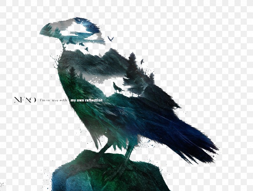 Crows Google Images Download Clip Art, PNG, 969x732px, Crows, Beak, Bird, Designer, Drawing Download Free
