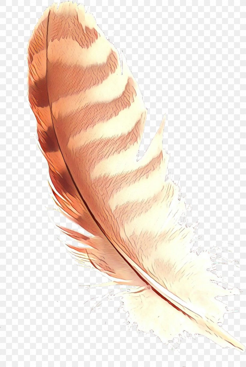 Feather, PNG, 912x1357px, Cartoon, Fashion Accessory, Feather, Natural Material, Quill Download Free