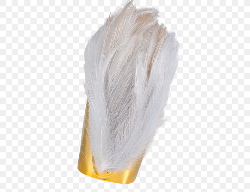 Feather, PNG, 420x630px, Feather Download Free
