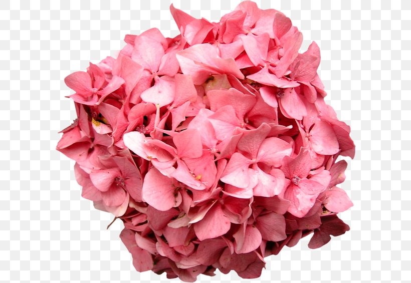 Hydrangea Pink Flower Bouquet Petal, PNG, 600x565px, Hydrangea, Artificial Flower, Blume, Cornales, Cut Flowers Download Free