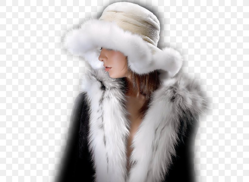Photography Woman Blog, PNG, 600x600px, Photography, Blog, Christmas, Fur, Fur Clothing Download Free