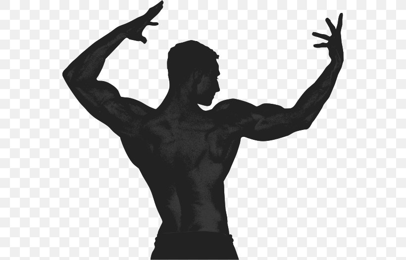 Aleš Lamka, PNG, 568x526px, Muscle, Arm, B Symptoms, Black And White, Bodybuilding Download Free