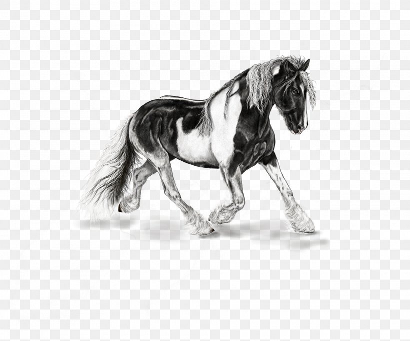 American Paint Horse Mustang Stallion Shetland Pony, PNG, 1920x1600px, American Paint Horse, Animal Figure, Arabian Horse, Blackandwhite, Drawing Download Free