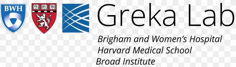 Harvard Medical School Brigham And Women's Hospital Harvard University Research Laboratory, PNG, 4986x1434px, Harvard Medical School, Advertising, Area, Banner, Blue Download Free