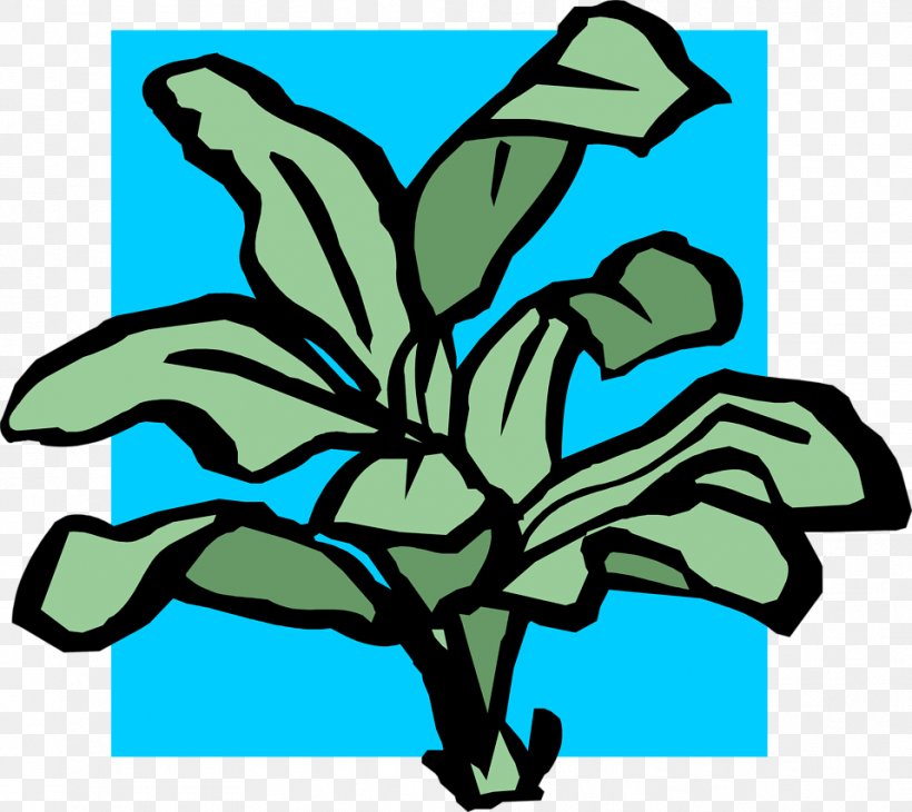 Leaf Plant Stem Flower Tree Clip Art, PNG, 958x853px, Leaf, Artwork, Flower, Organism, Plant Download Free
