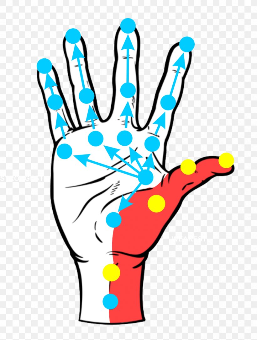 Thumb Hand Carpal Tunnel Art Finger, PNG, 908x1200px, Thumb, Area, Art, Artwork, Behavior Download Free