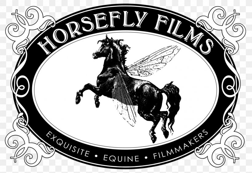 Camarillo White Horse EQUUS Film Festival Film Director, PNG, 1500x1033px, Film, Black And White, Brand, California, Camarillo Download Free