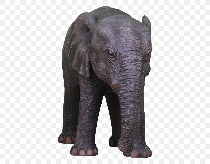 Indian Elephant African Elephant Terrestrial Animal Wildlife, PNG, 640x640px, Indian Elephant, African Elephant, Animal, Asian Elephant, Elephant Download Free