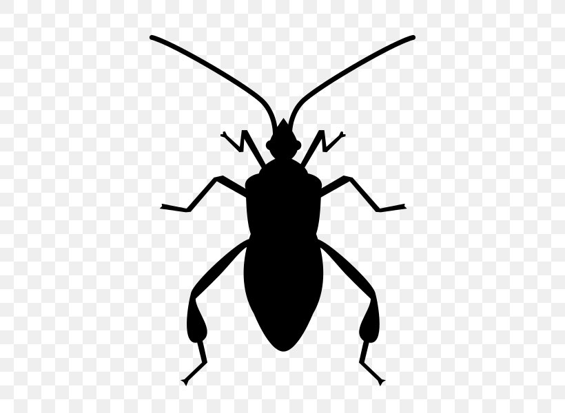 Insect Software Bug Clip Art, PNG, 600x600px, Insect, Arthropod, Beetle, Black And White, Computer Software Download Free