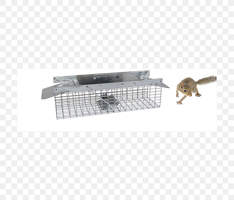Mouse Rat Rodent Squirrel Least Weasel, PNG, 698x698px, Mouse, Animal, Bait, Cage, Chipmunk Download Free