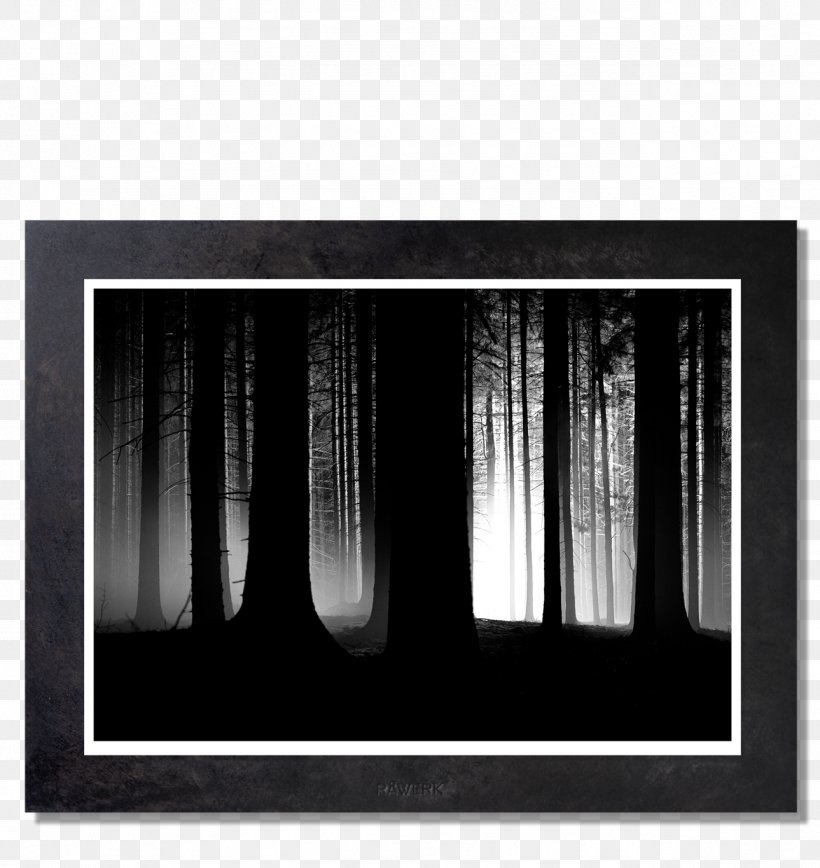 Picture Frames White Wall, PNG, 1289x1365px, Picture Frames, Black And White, Distance, Iron, Measurement Download Free