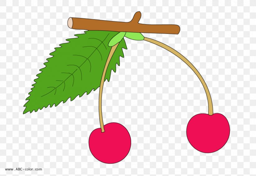 Product Design Clip Art Leaf Plant Stem, PNG, 822x567px, Leaf, Cherry, Flowering Plant, Food, Fruit Download Free