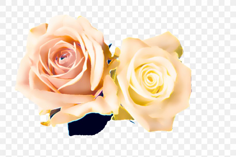 Wedding Flower Background, PNG, 960x639px, Garden Roses, Artificial Flower, Beige, Bouquet, Ceremony Download Free