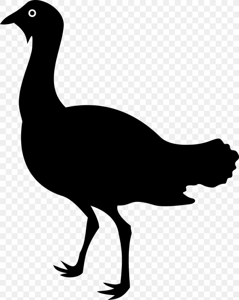 Bird Silhouette, PNG, 1020x1280px, Bustard, Animal, Beak, Bird, Canarian Houbara Download Free