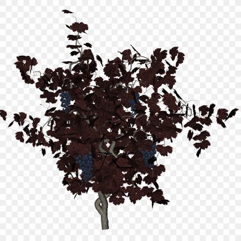 Kyoho Wine Grape Vine Clip Art, PNG, 1500x1500px, Kyoho, Branch, Common Grape Vine, Grape, Grape Leaves Download Free