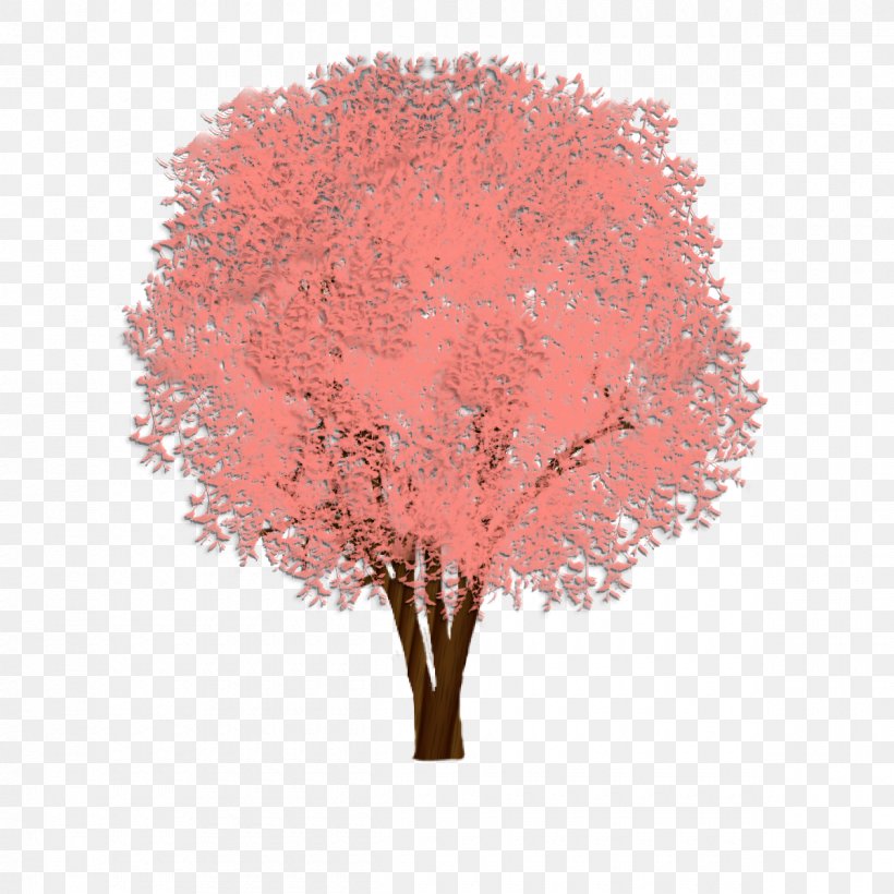 Shade Tree Cedar Elm Weeping Fig, PNG, 1200x1200px, Tree, Cedar Elm, Common Fig, Elm, Ficus Rubiginosa Download Free