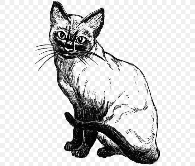 Siamese Cat Kitten Drawing Line Art Clip Art, PNG, 548x697px, Siamese Cat, Art, Art Museum, Black And White, Carnivoran Download Free