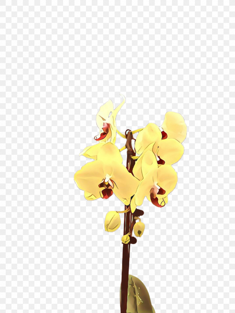 Artificial Flower, PNG, 1732x2307px, Flower, Artificial Flower, Branch, Cut Flowers, Moth Orchid Download Free
