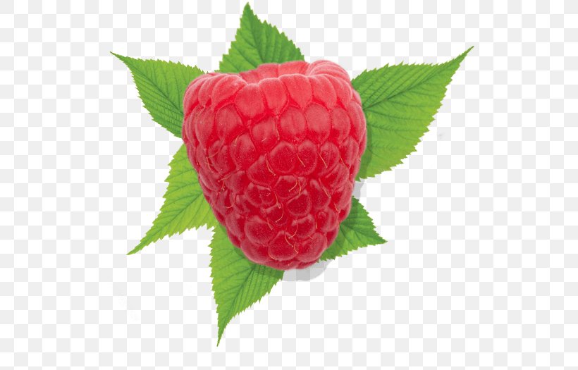 Strawberry Red Raspberry Driscoll's, PNG, 562x525px, Strawberry, Auglis, Berry, Brambles, Food Download Free