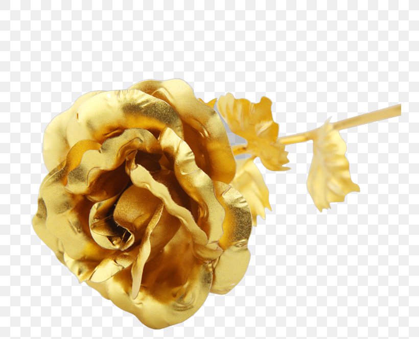 Beach Rose Gold Flower, PNG, 750x664px, Beach Rose, Designer, Flavor, Flower, Food Download Free