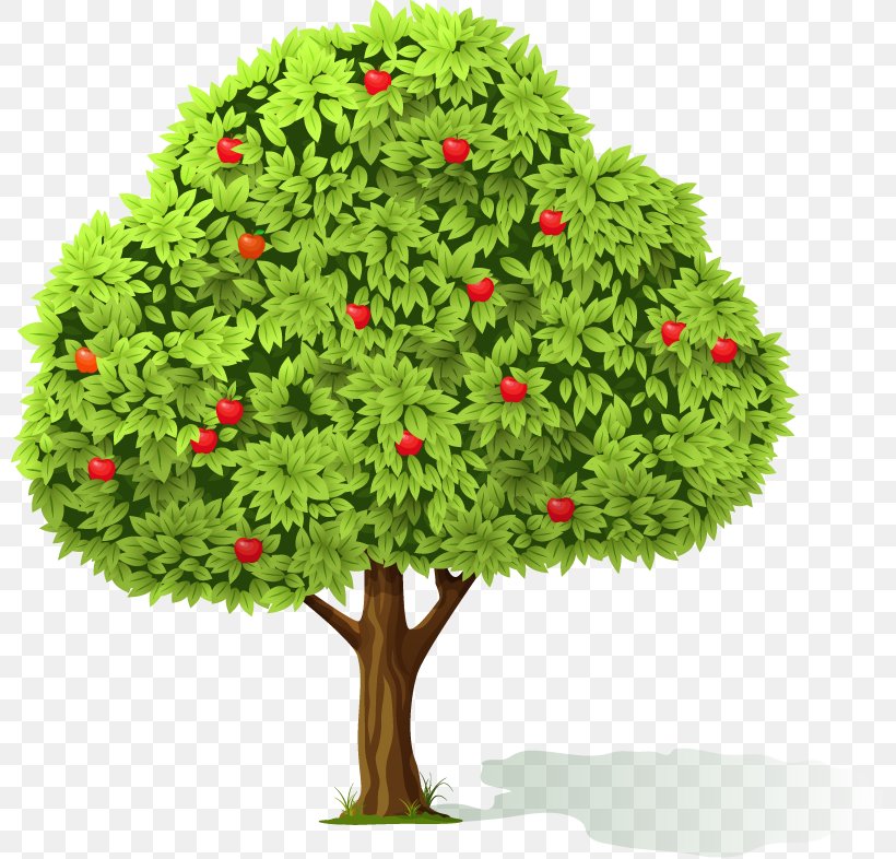 Flowerpot Houseplant Evergreen Tree Clip Art, PNG, 800x786px, Flowerpot, Alt Attribute, Christmas Decoration, Commandline Interface, Conifer Download Free