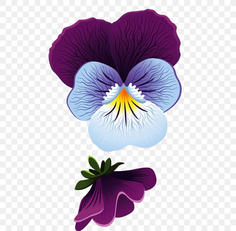 Flower Pansy Leaf Clip Art, PNG, 509x800px, Flower, Bud, Drawing, Floral Design, Flowering Plant Download Free