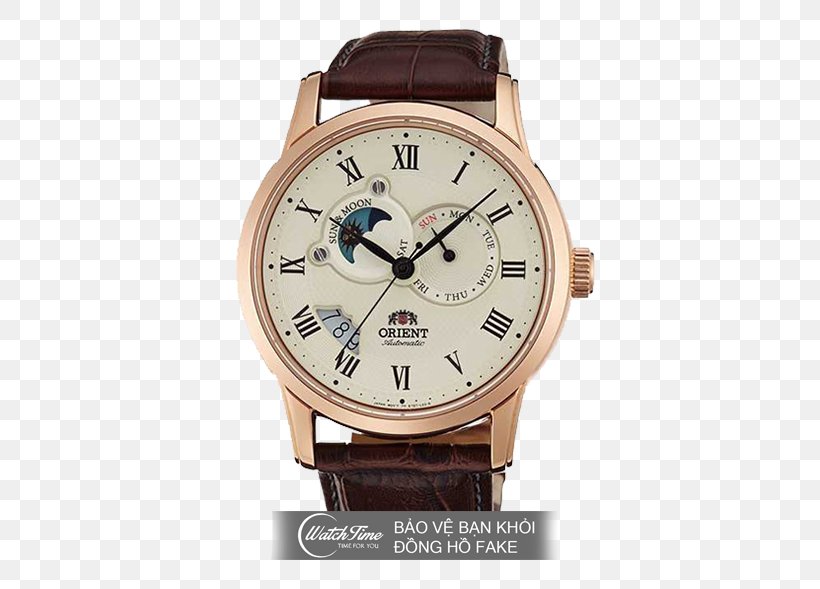 Orient Watch Automatic Watch Sapphire Mechanical Watch, PNG, 589x589px, Orient Watch, Automatic Watch, Brand, Clock, Cristal De Zafiro Download Free