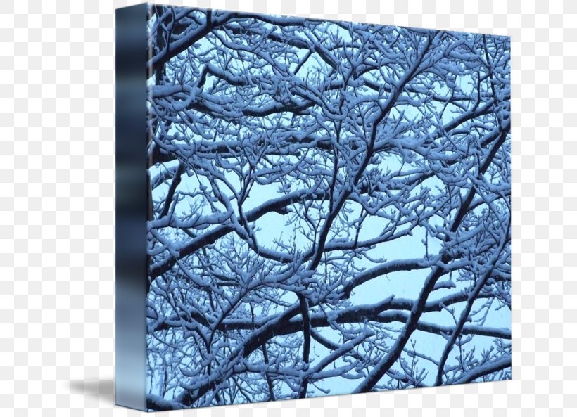 Tree Twig Violet Winter Stock Photography, PNG, 650x593px, Tree, Branch, Dagens Nyheter, Frost, Lavender Download Free