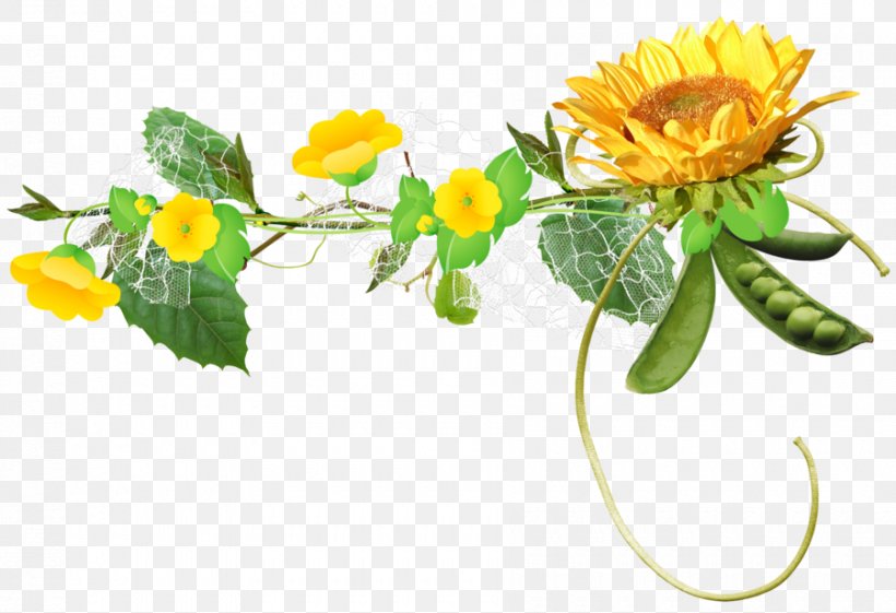 Common Sunflower Clip Art, PNG, 900x616px, Flower, Common Sunflower, Cut Flowers, Daisy, Dandelion Download Free