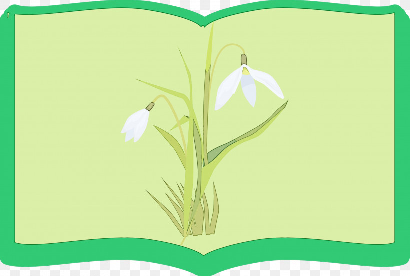 Flower Plant Stem Leaf Meter Petal, PNG, 3000x2026px, Flower Frame, Book Frame, Flower, Green, Leaf Download Free