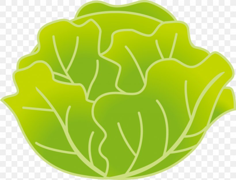 Leaf Vegetable Kohlrabi Cabbage Food, PNG, 1024x782px, Vegetable, Bell Pepper, Brassica Juncea, Cabbage, Food Download Free