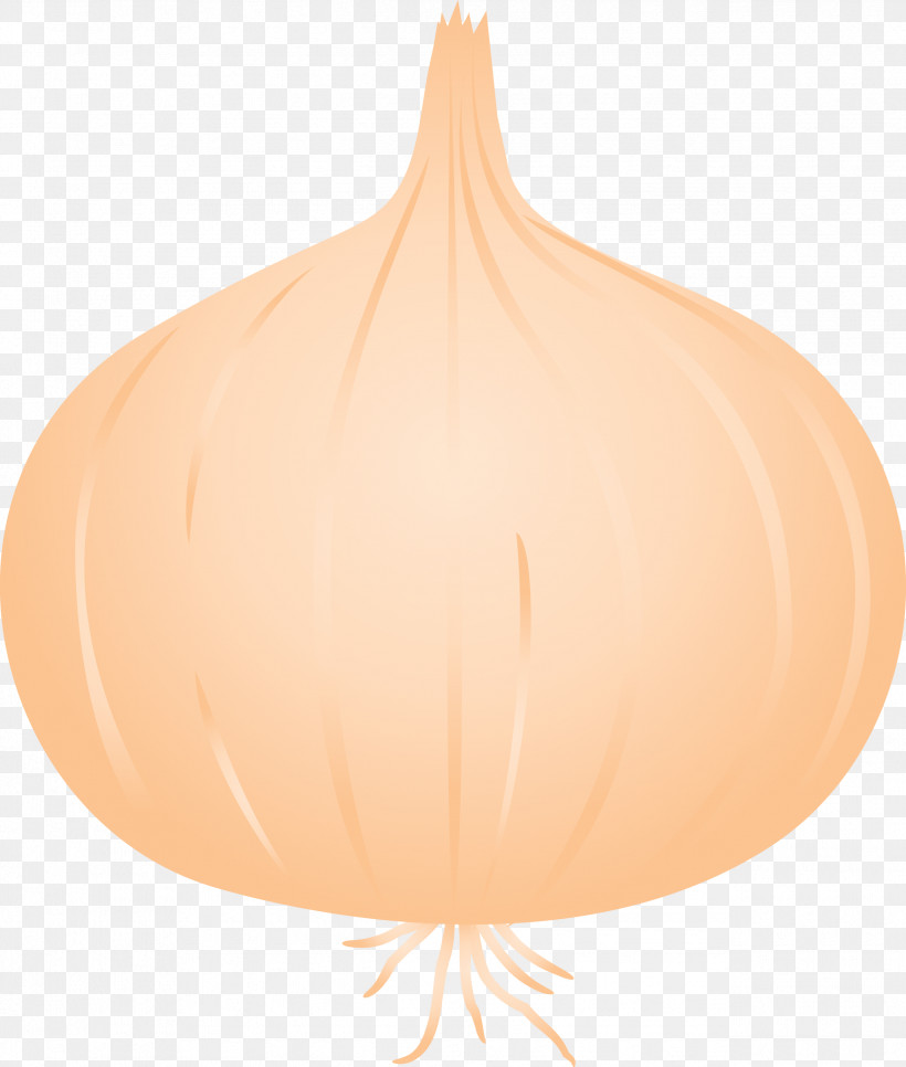 Onion, PNG, 2545x2999px, Onion Download Free