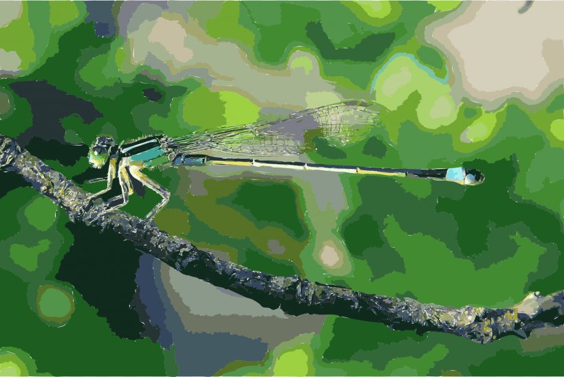 Dragonfly Damselfly Insect Wing Banded Demoiselle, PNG, 2400x1608px, Dragonfly, Animal, Arthropod, Branch, Common Hawker Download Free