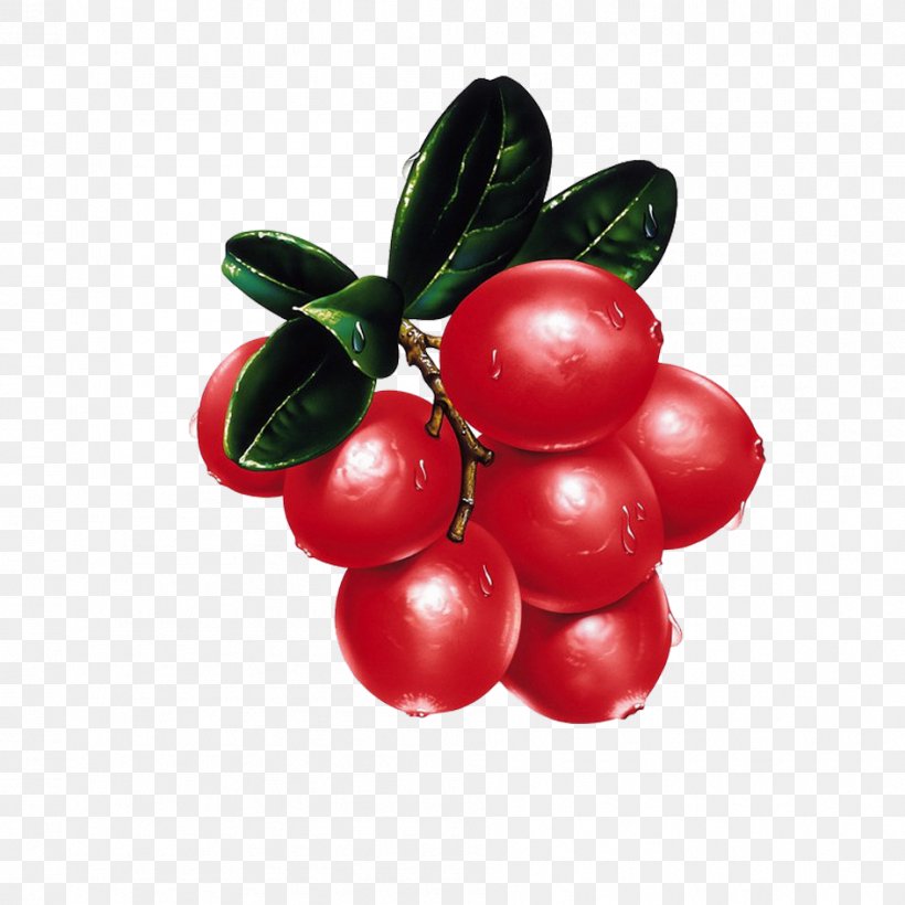 Fruit, PNG, 945x945px, Fruit, Acerola Family, Berry, Cartoon, Cherry Download Free