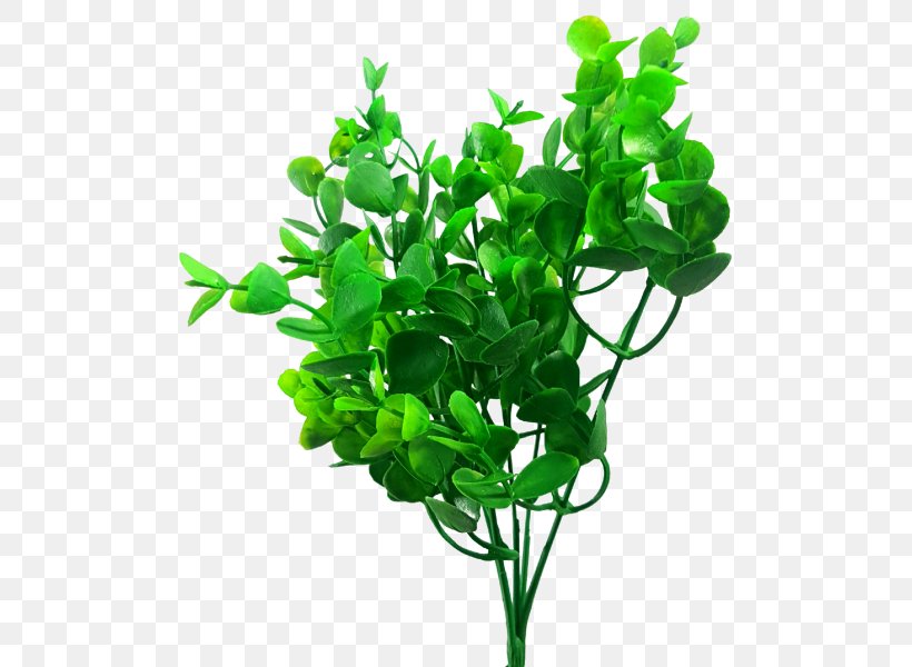 JMC Floral Artificial Flower Wholesale Plant Stem Sydney, PNG, 800x600px, Jmc Floral, Aquarium Decor, Artificial Flower, Australia, Flower Download Free