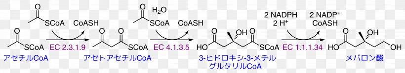 Mevalonic Acid Mevalonate Pathway Acetyl-CoA Coenzyme A Acetyl Group, PNG, 5302x967px, Mevalonic Acid, Acetoacetylcoa, Acetyl Group, Acetylcoa, Area Download Free